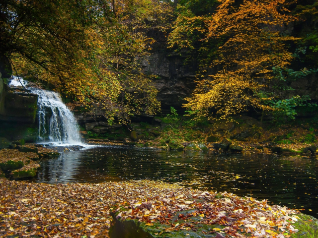 природа, водопад, камни, листья
