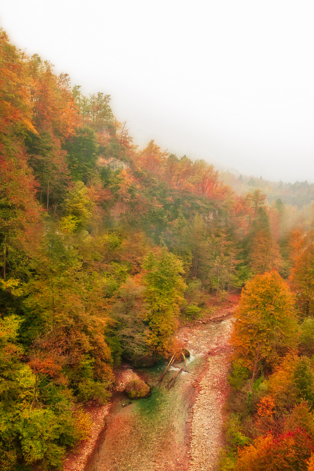 река, осень, горы, лес, туман