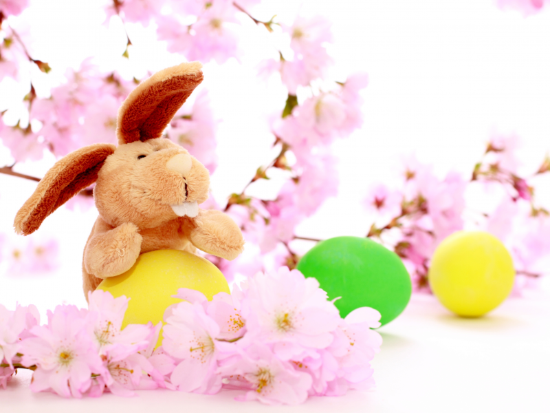 пасха, цветы вишни, кролик, праздник