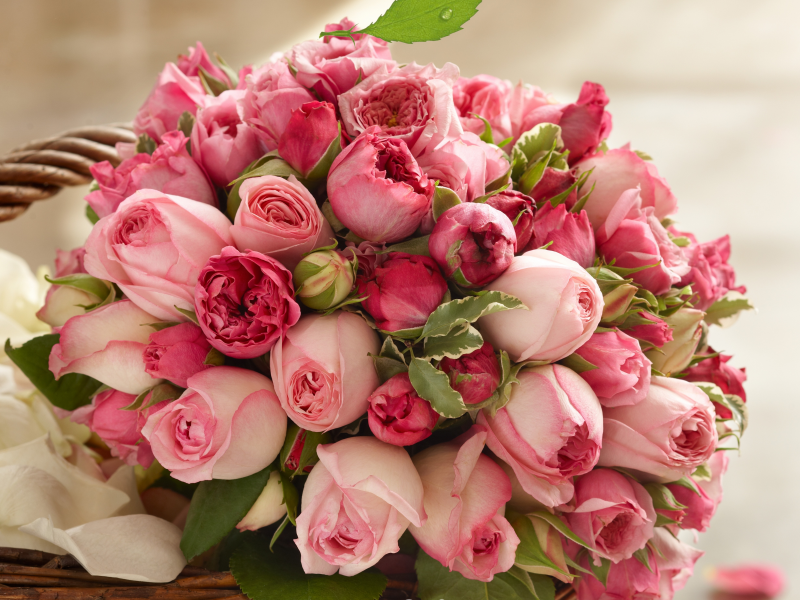 beauty, bouquet, pink, букет, лепестки, розы, бутоны, roses, розовые