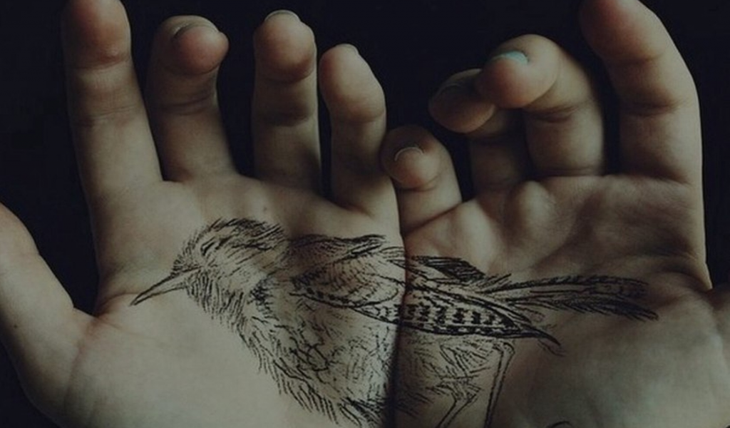 креативчик, руки, рисунок, птичка