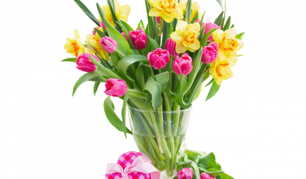 тюльпаны, нарциссы, весна, подарок