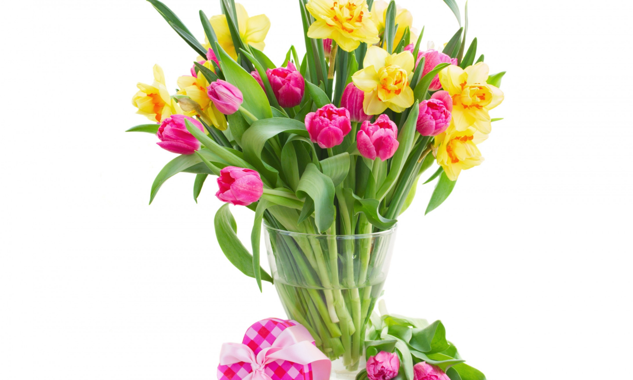 тюльпаны, нарциссы, весна, подарок