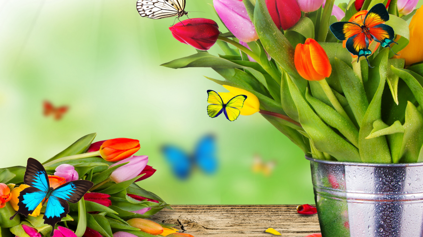 тюльпаны, бабочки, весна, ведро, листья