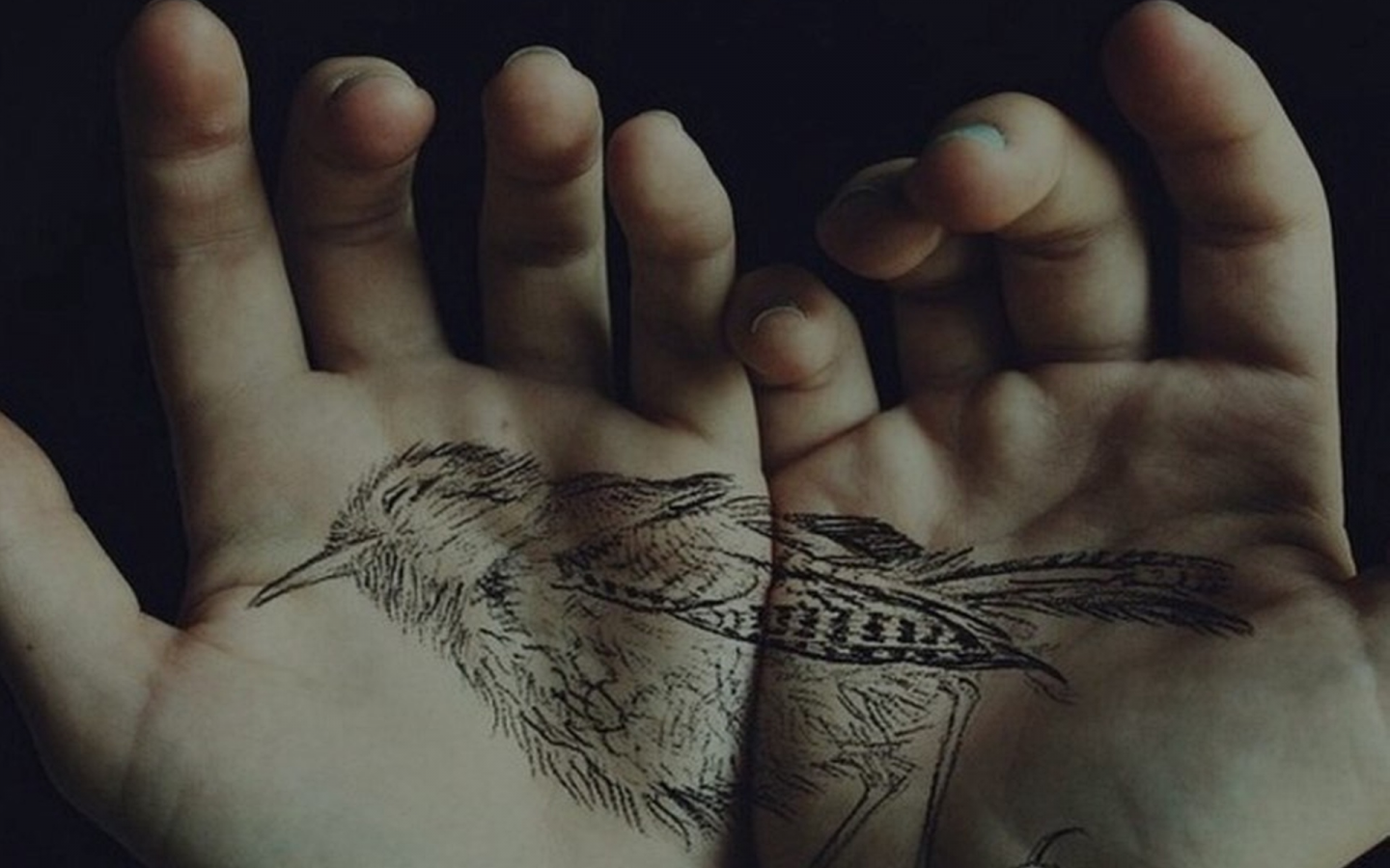 креативчик, руки, рисунок, птичка