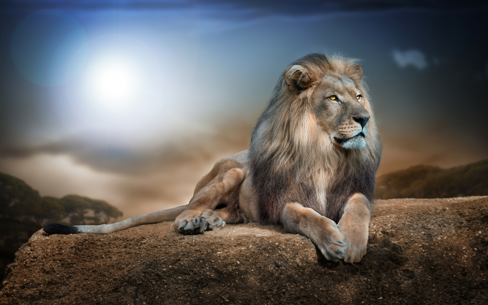 лев, царь зверей, хищник, лежит, отдыхает, камни, пейзаж, небо, свет