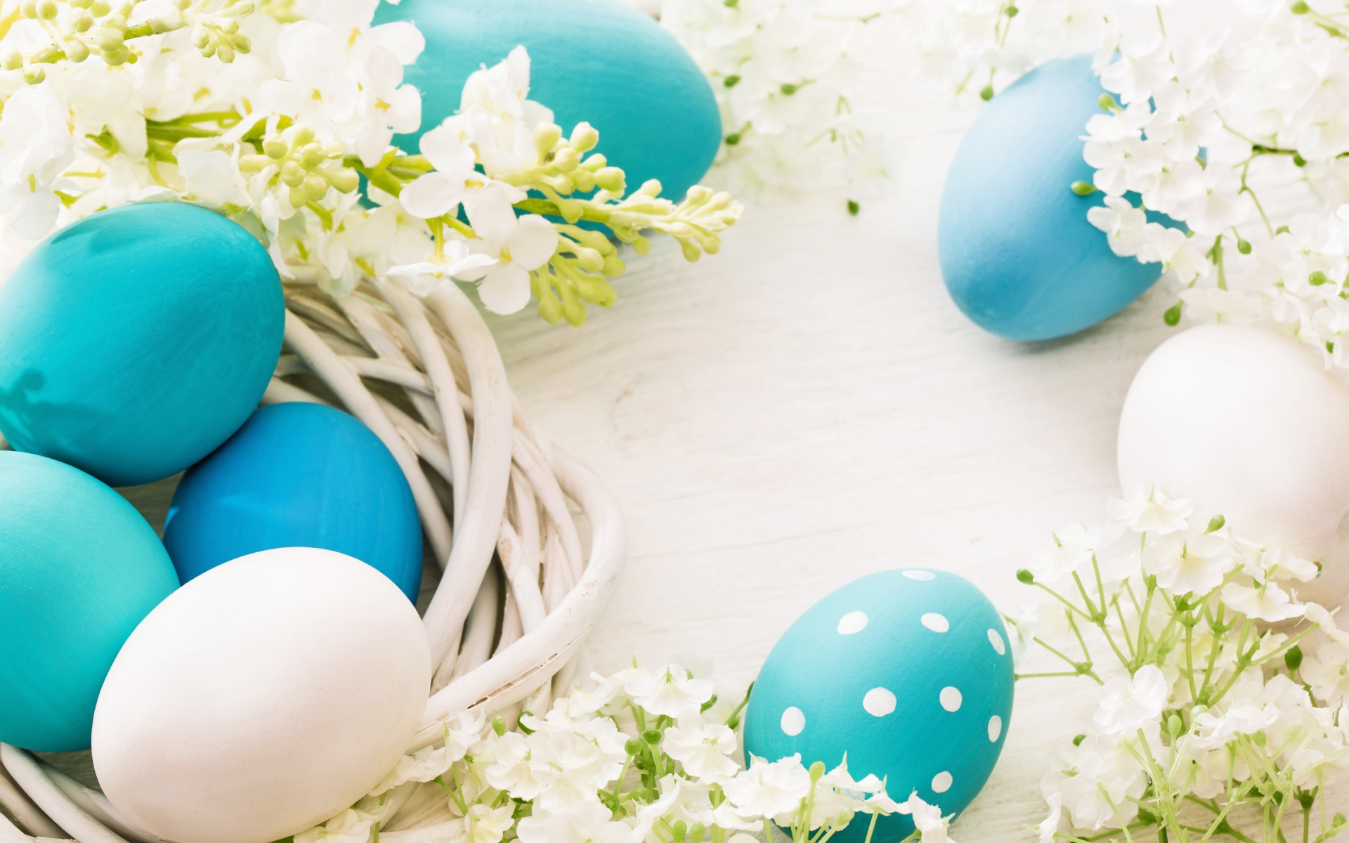 aster, appy, eggs, decoration, spring, flowers, асха, яйца, цветы, весна