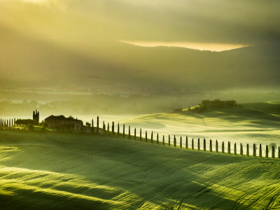 tuscany, поле, туман, пейзаж, italy