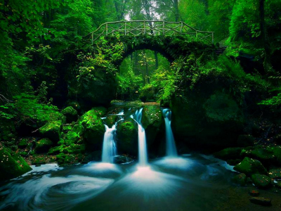 водопад, мост, лес