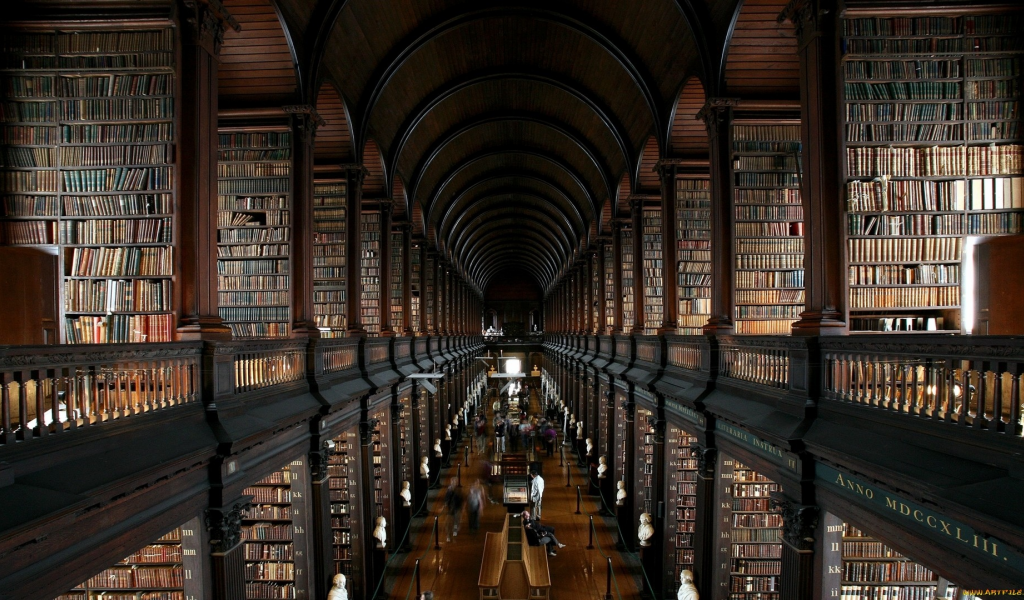 library, wide, books, book, read, night, stairs, shelving