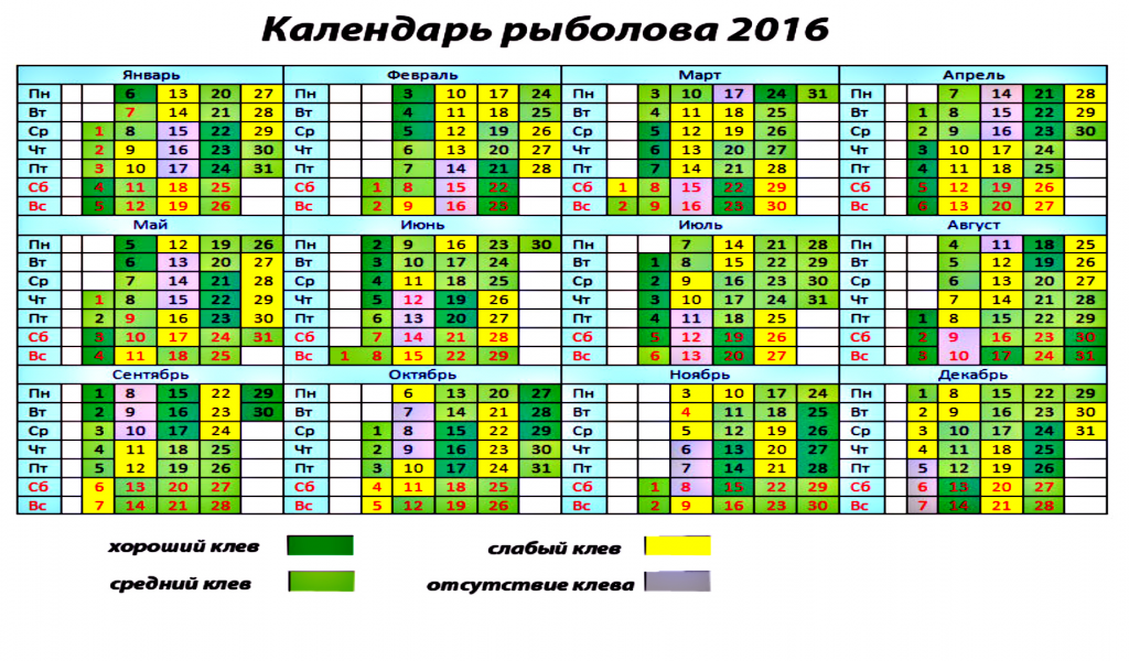 календарь, 2016, для рыбаков