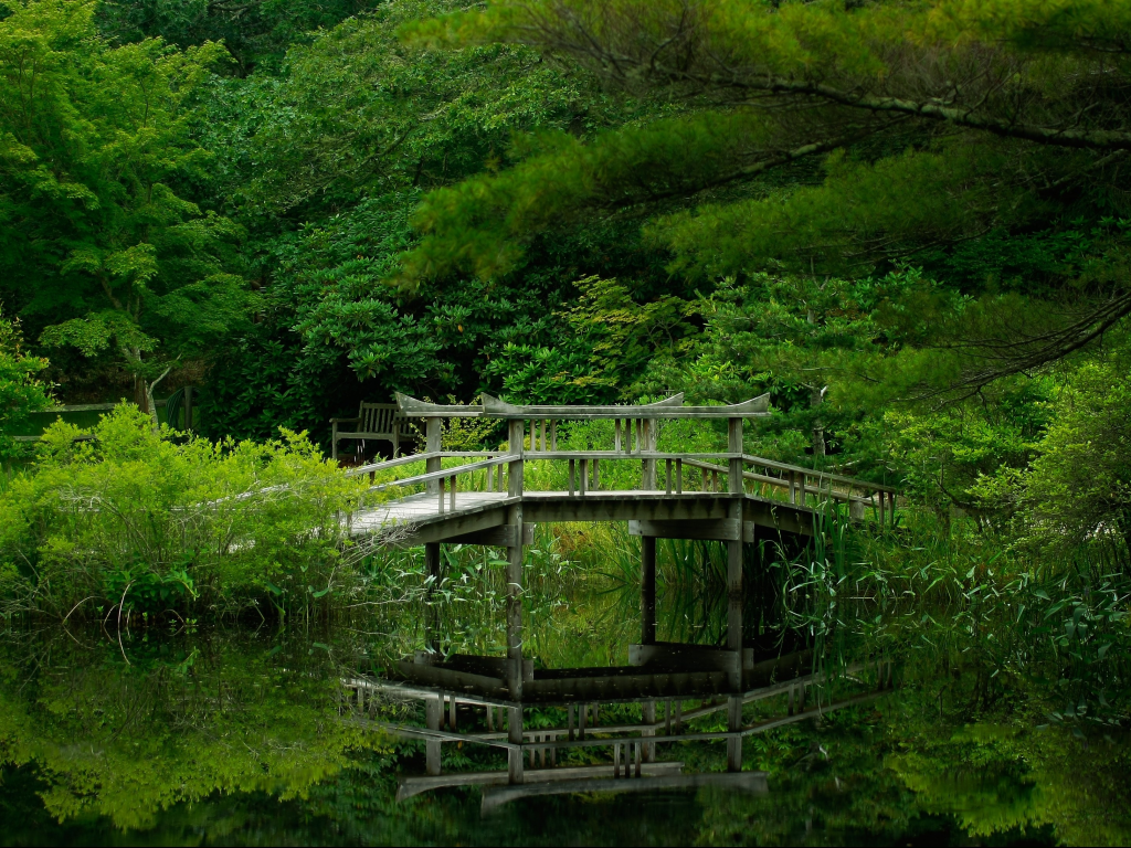 forest, park, green, water, reflection, beautiful, nature, lake, bridge, garden, sun, summer, sky, wide