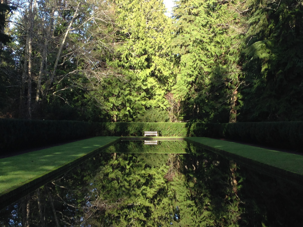 forest, park, green, water, see, reflection, beautiful, nature, lake, bridge, garden, sun, summer, sky, wide