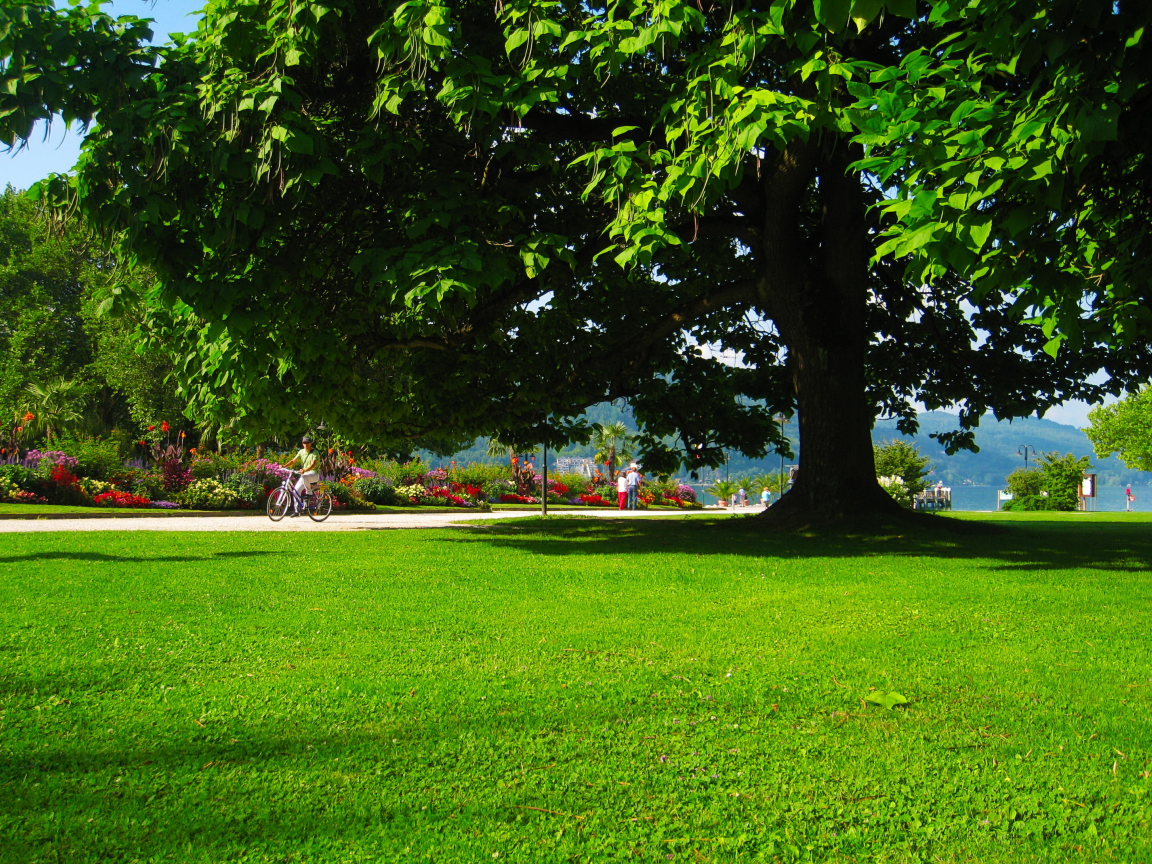 parks, austria, carinthia, klagenfurt, grass, meadow, nature, landscapes, trees, flowers, blossoms, spring, grass, strees, shadow, cool, summer, residences, wood, forest, park, green, reflection, beautiful, nature, lake, day, sun, wide