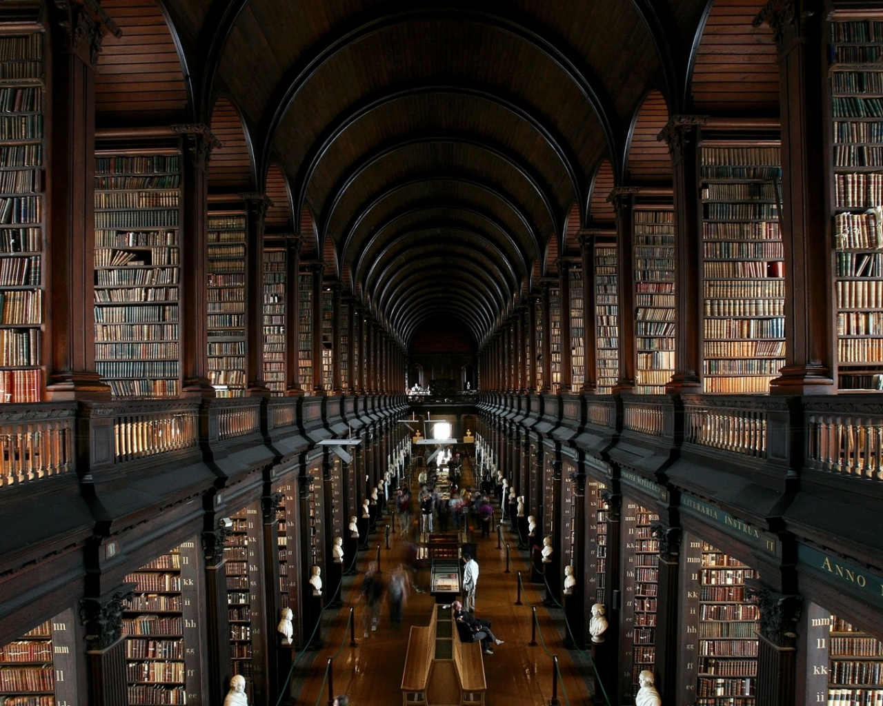 library, wide, books, book, read, night, stairs, shelving