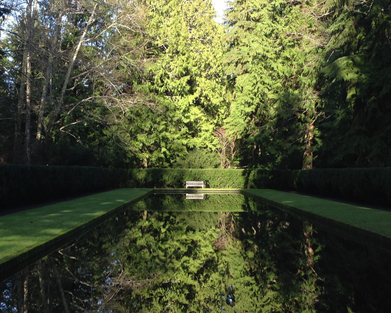 forest, park, green, water, see, reflection, beautiful, nature, lake, bridge, garden, sun, summer, sky, wide