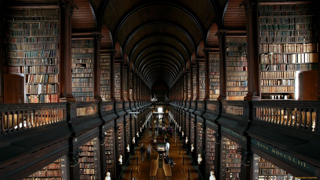 library, wide, books, book, read, night, stairs, shelving