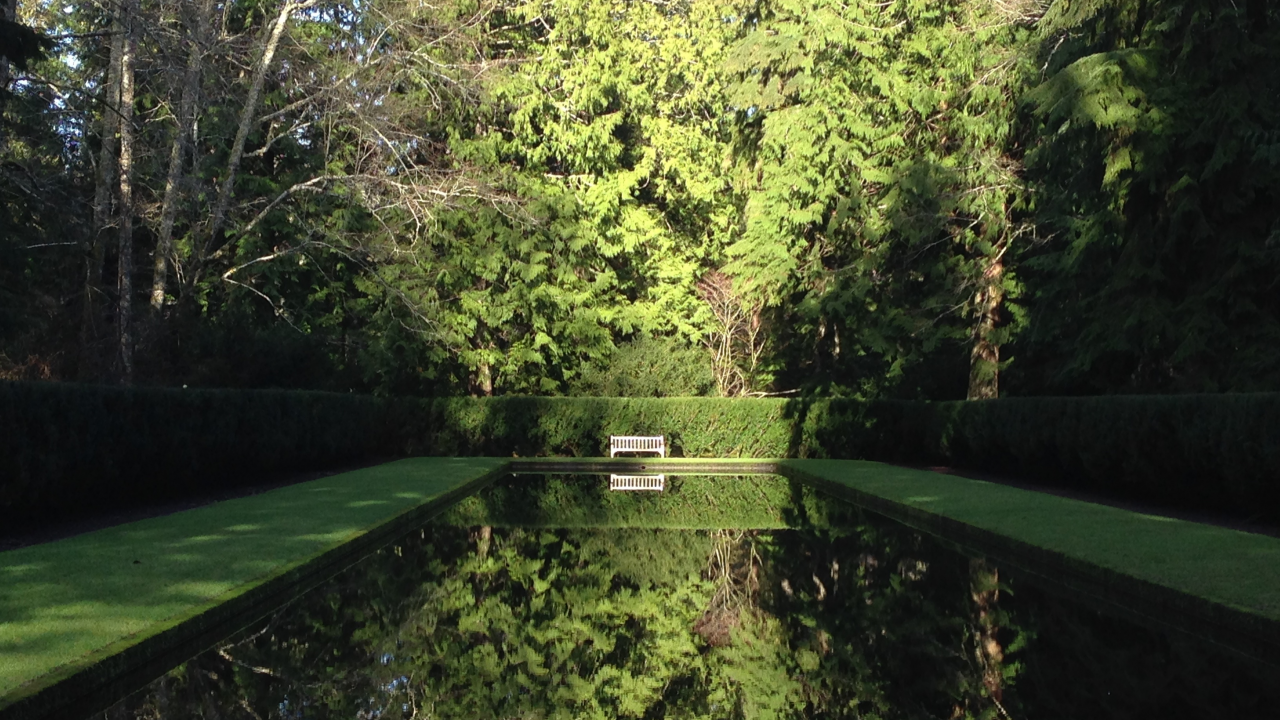 forest, park, green, water, see, reflection, beautiful, nature, lake, bridge, garden, sun, summer, sky, wide