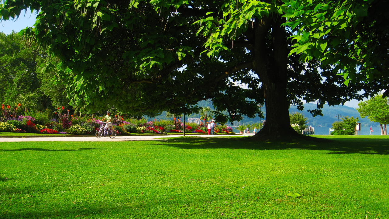 parks, austria, carinthia, klagenfurt, grass, meadow, nature, landscapes, trees, flowers, blossoms, spring, grass, strees, shadow, cool, summer, residences, wood, forest, park, green, reflection, beautiful, nature, lake, day, sun, wide