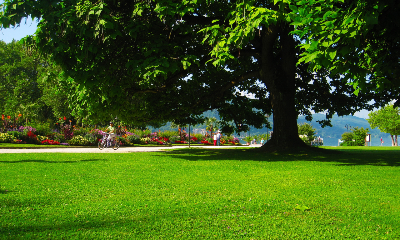 parks, austria, carinthia, klagenfurt, grass, meadow, nature, landscapes, trees, flowers, blossoms, spring, grass, strees, shadow, cool, summer, residences, wood, forest, park, green, reflection, beautiful, nature, lake, day, sun, wide