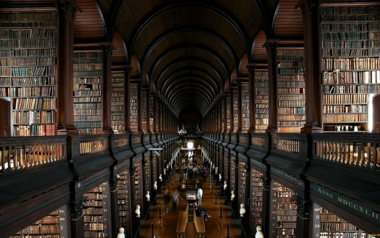 library, wide, books, book, read, night, stairs, shelving