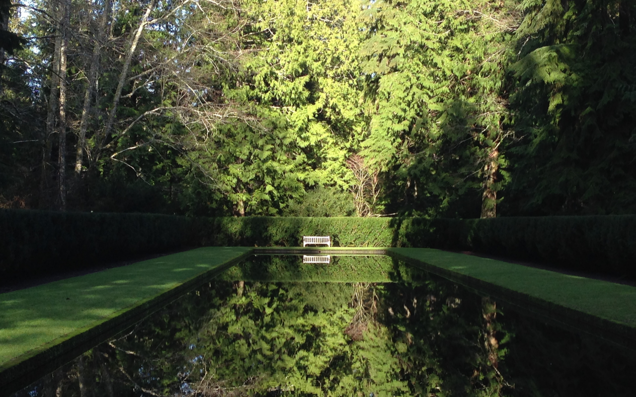 forest, park, green, water, see, reflection, beautiful, nature, lake, bridge, garden, sun, summer, sky, wide