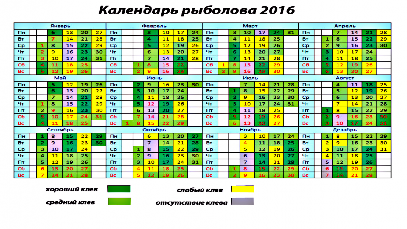 календарь, 2016, для рыбаков