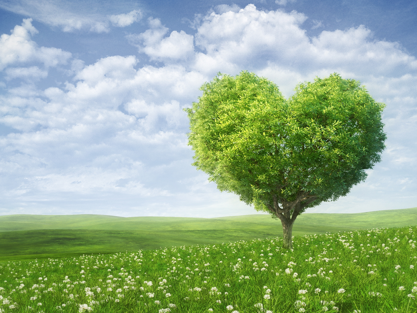 любовь, романтика, сердце, дерево, зеленые поля, цветы, небо, облака