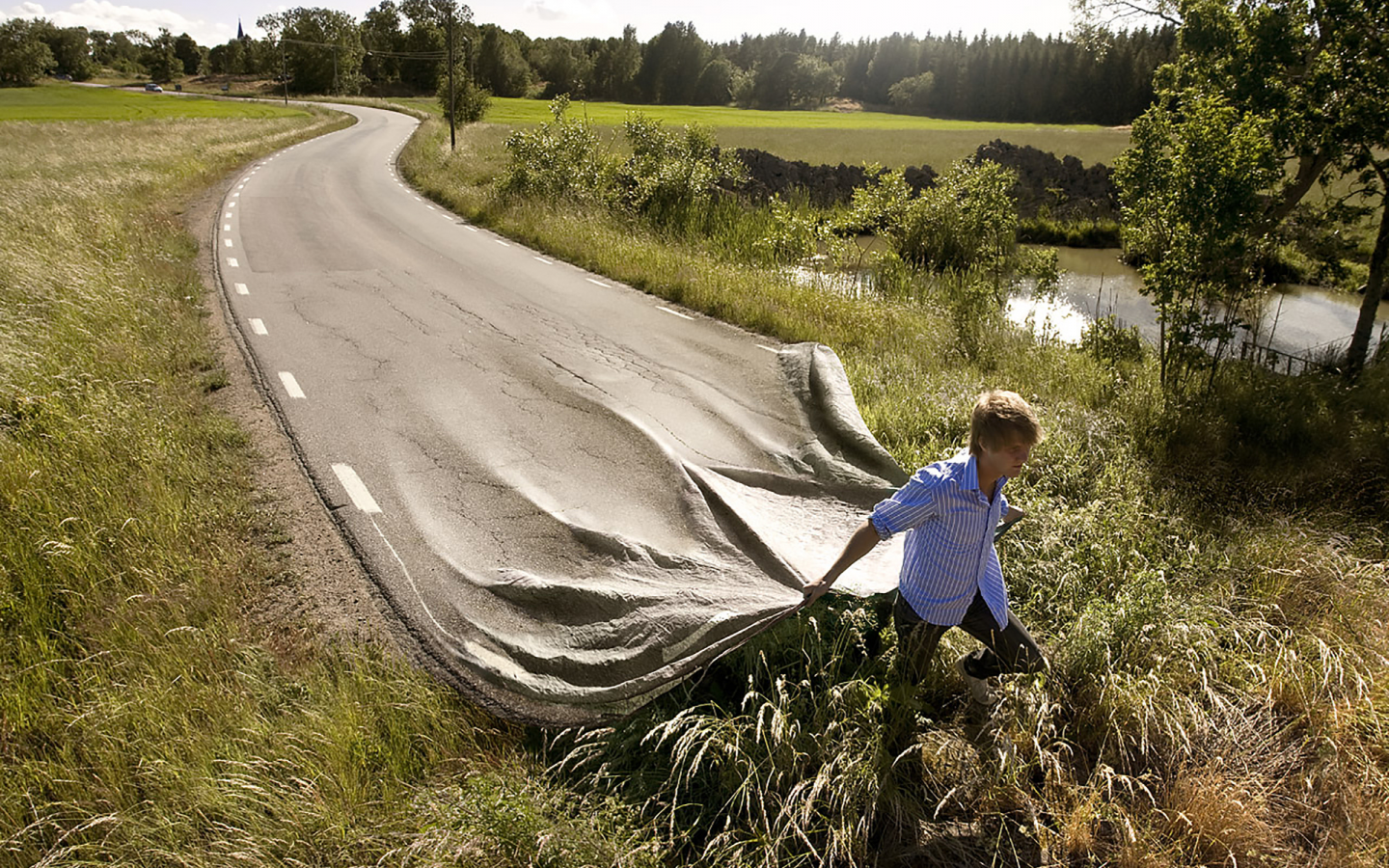 buisnessmen, men, made, fast, road, meadow, forest, wood, nice, sun, sky, up, wide