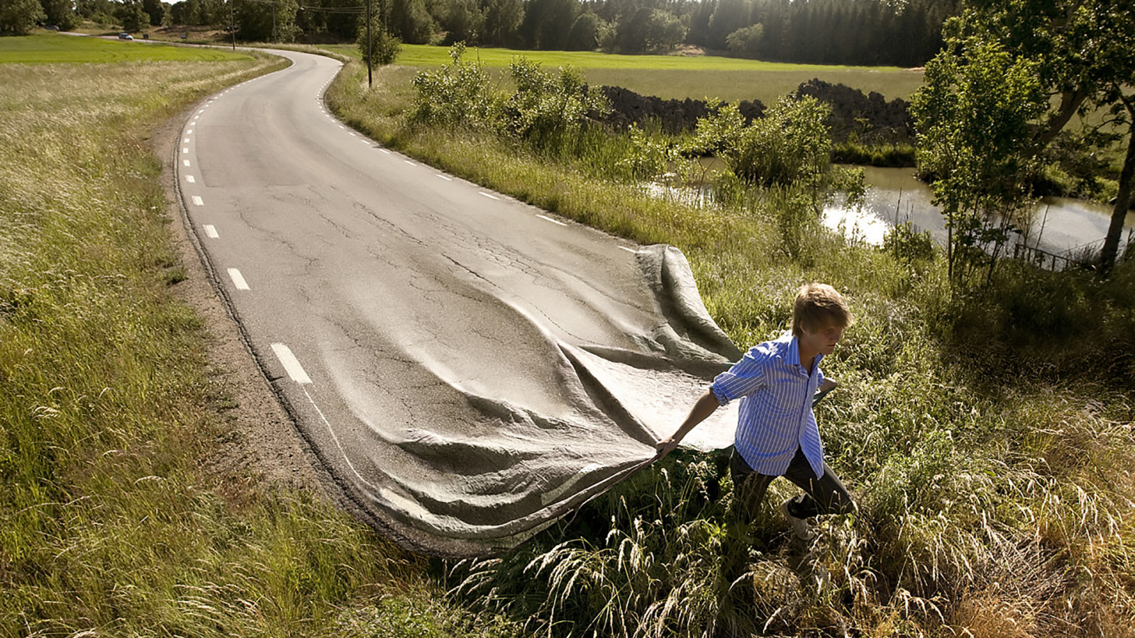 buisnessmen, men, made, fast, road, meadow, forest, wood, nice, sun, sky, up, wide