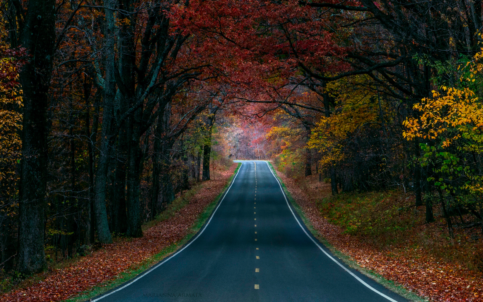 краски, дорога, деревья, природа, осень, лес