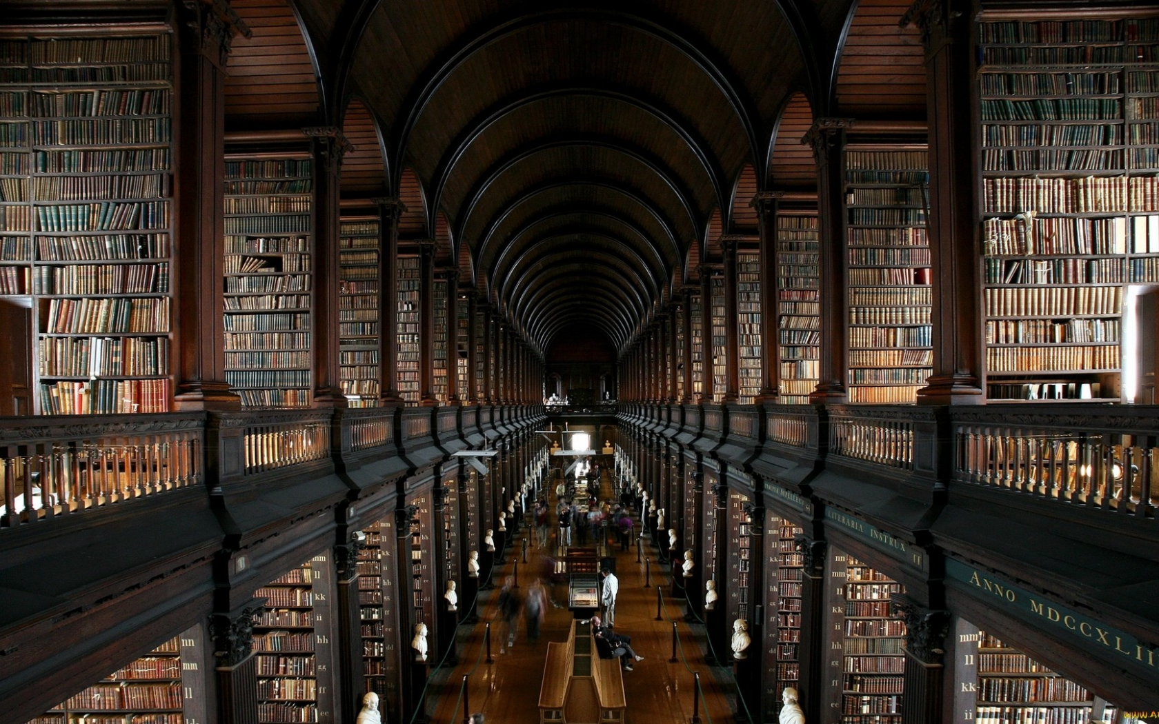 library, wide, books, book, read, night, stairs, shelving