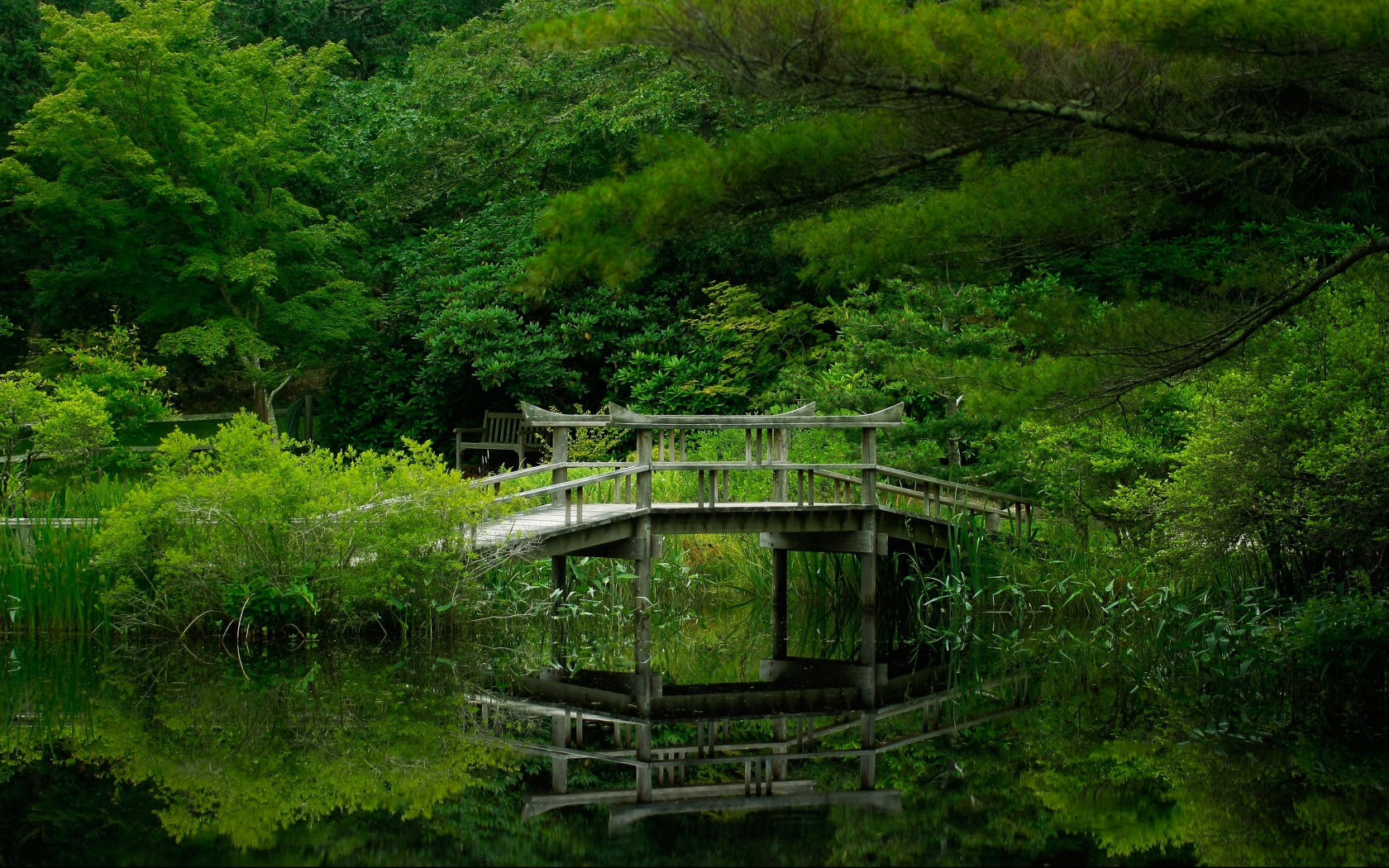 forest, park, green, water, reflection, beautiful, nature, lake, bridge, garden, sun, summer, sky, wide
