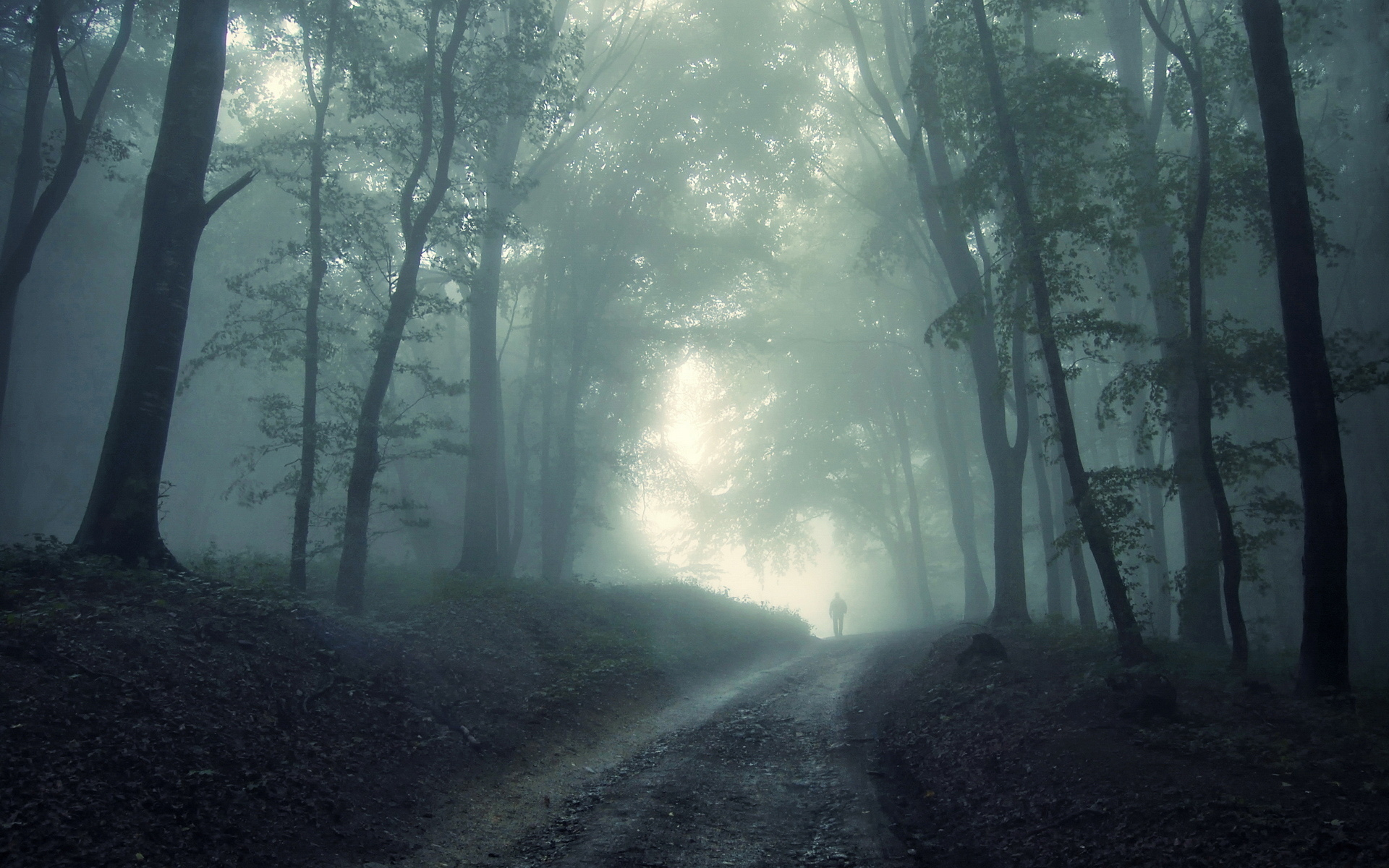 лес, человек, мрак, призрак, туман, страх