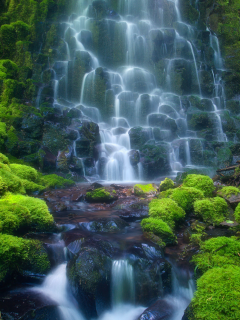 waterfall, gesser, water, nice, wood, водопад, meadow, day, sun, wide