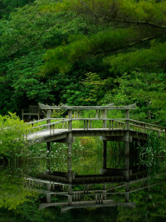 forest, park, green, water, reflection, beautiful, nature, lake, bridge, garden, sun, summer, sky, wide