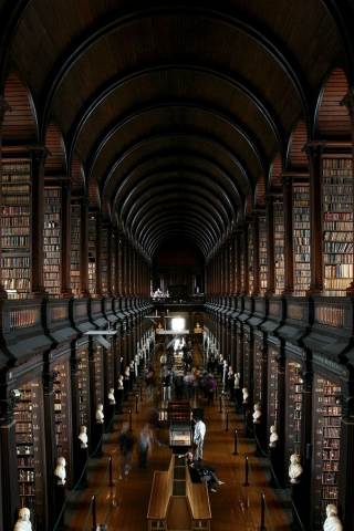 library, wide, books, book, read, night, stairs, shelving