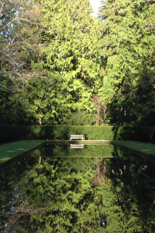 forest, park, green, water, see, reflection, beautiful, nature, lake, bridge, garden, sun, summer, sky, wide