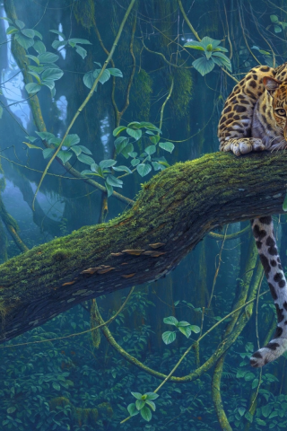 леопард, хищник, джунгли, животные