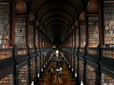 library, wide, books, book, read, night, stairs, shelving