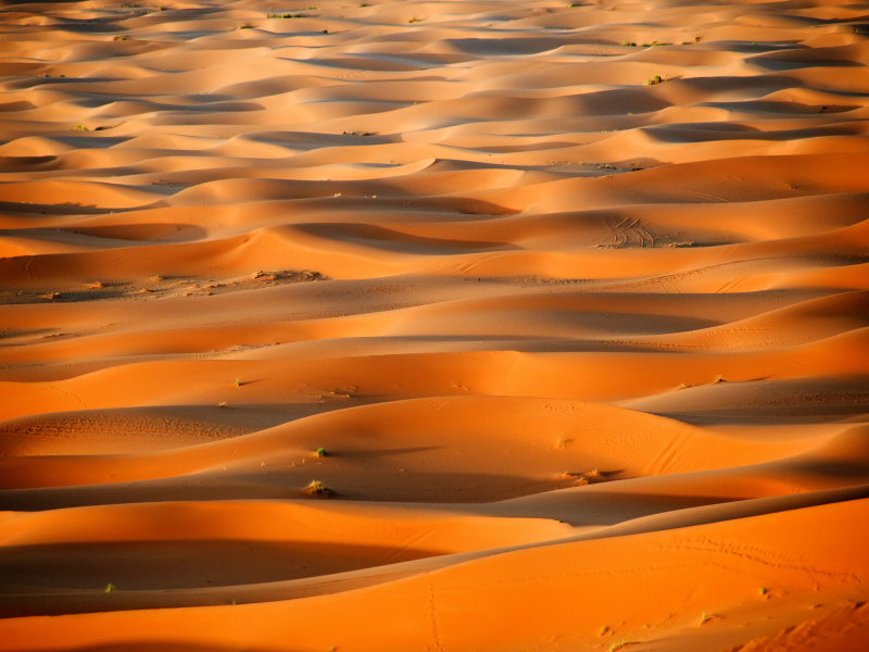 марокко, пустыня, африка, сахара, дюны