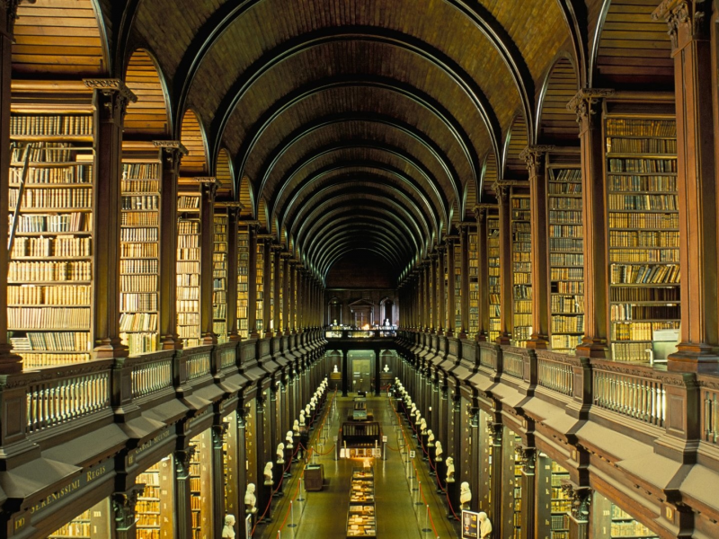 library, wide, books, book, read, light, stairs, day, sun, nice, shelving