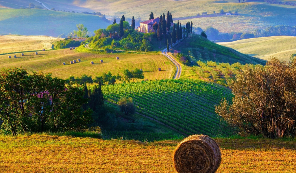 поле, дом, деревья, холмы, италия, сено, виноградник, дорога
