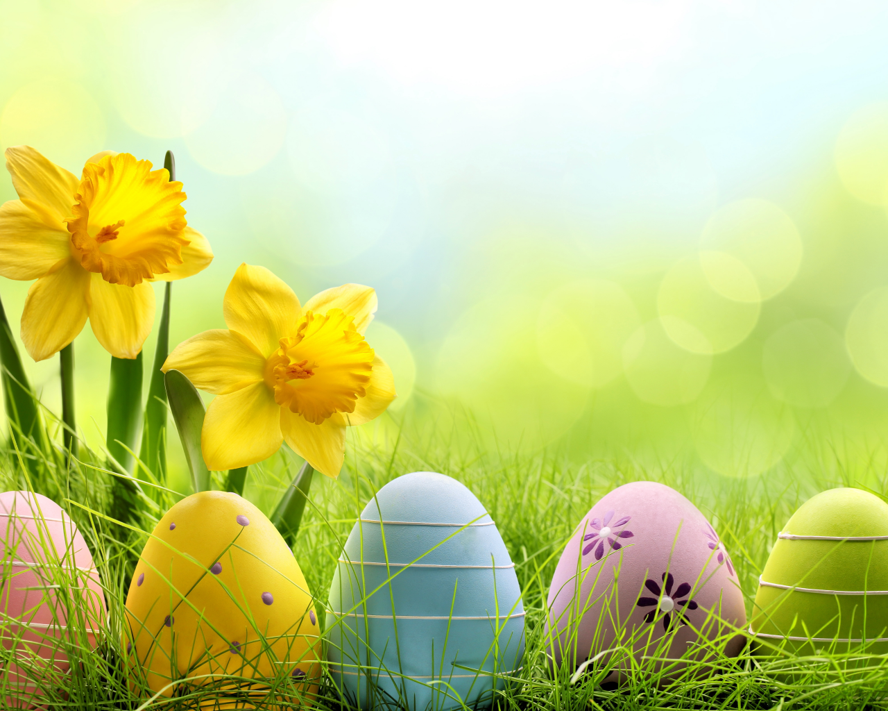 daffodils, flowers, spring, grass, пасха, eggs, meadow, весна, easter, sunshine, луг