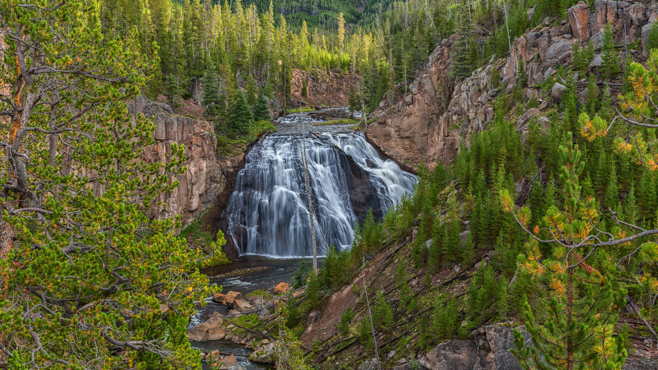 лес, водопад, сверху, waterfall, forest, park, green, water, see, beautiful, nature, lake, bridge, garden, sun, summer, sky, wide