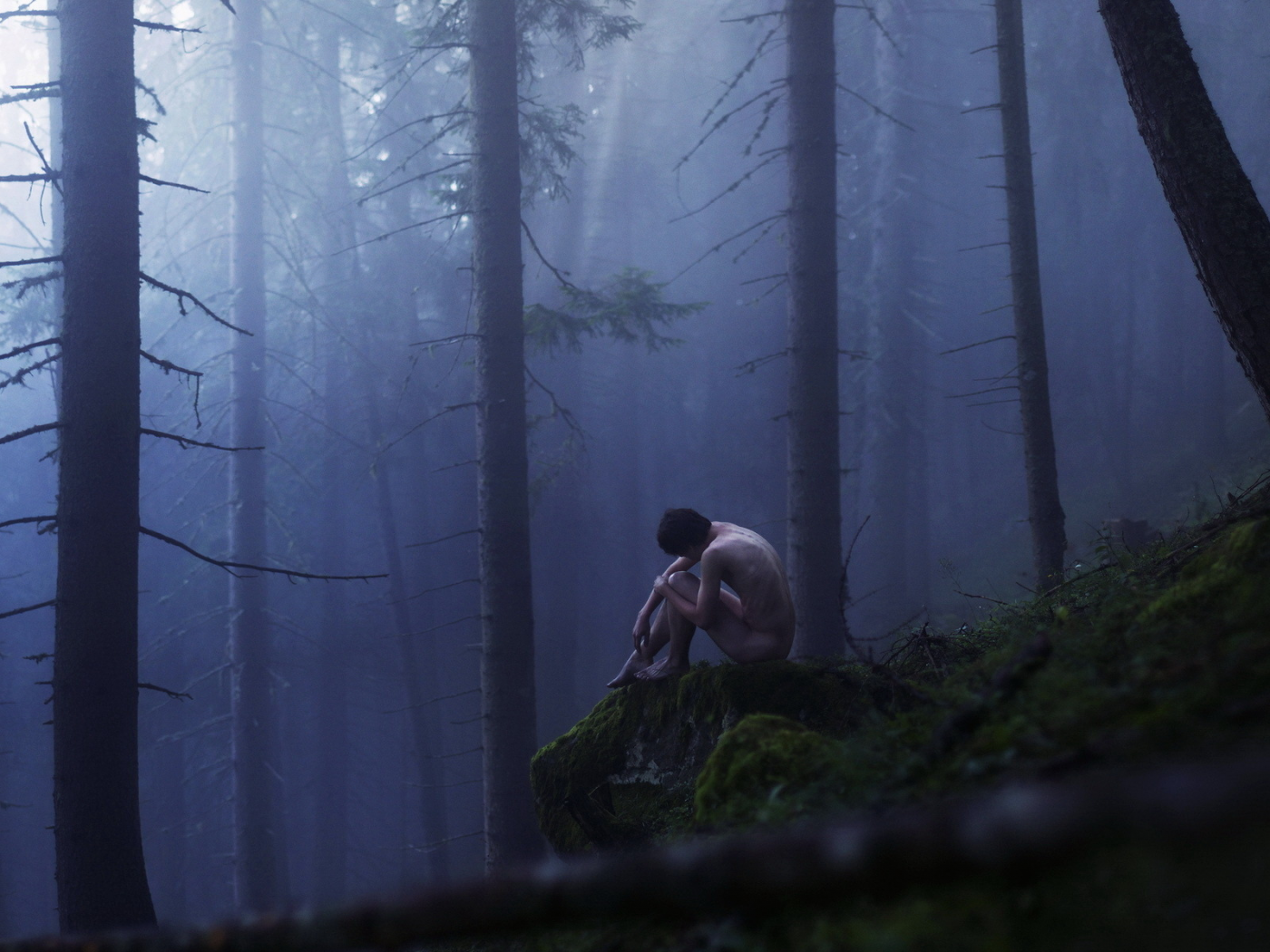 туман, парень, лес
