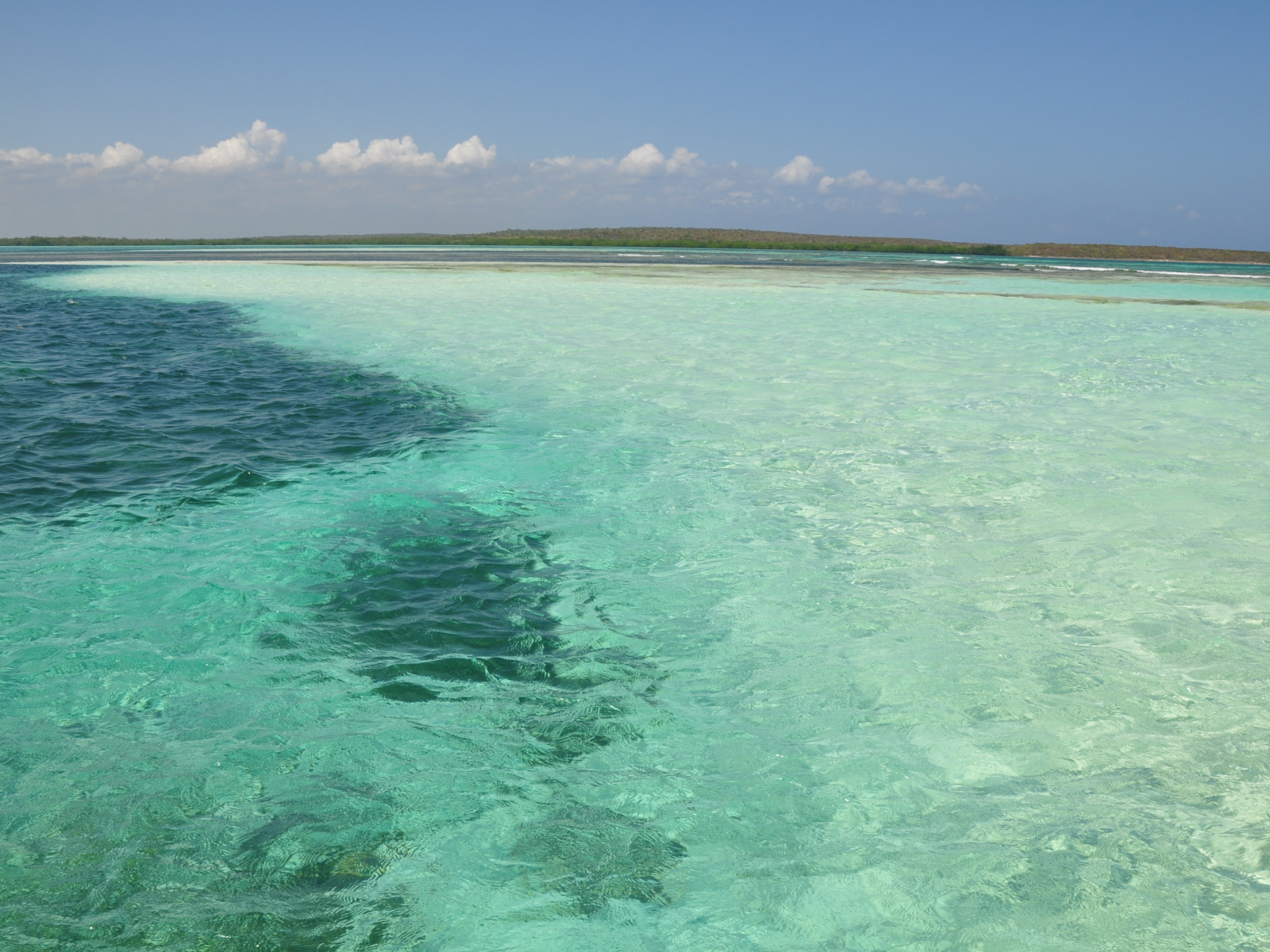 вода, пейзаж, цвет, лето, карибы, вода, море, океан, песок