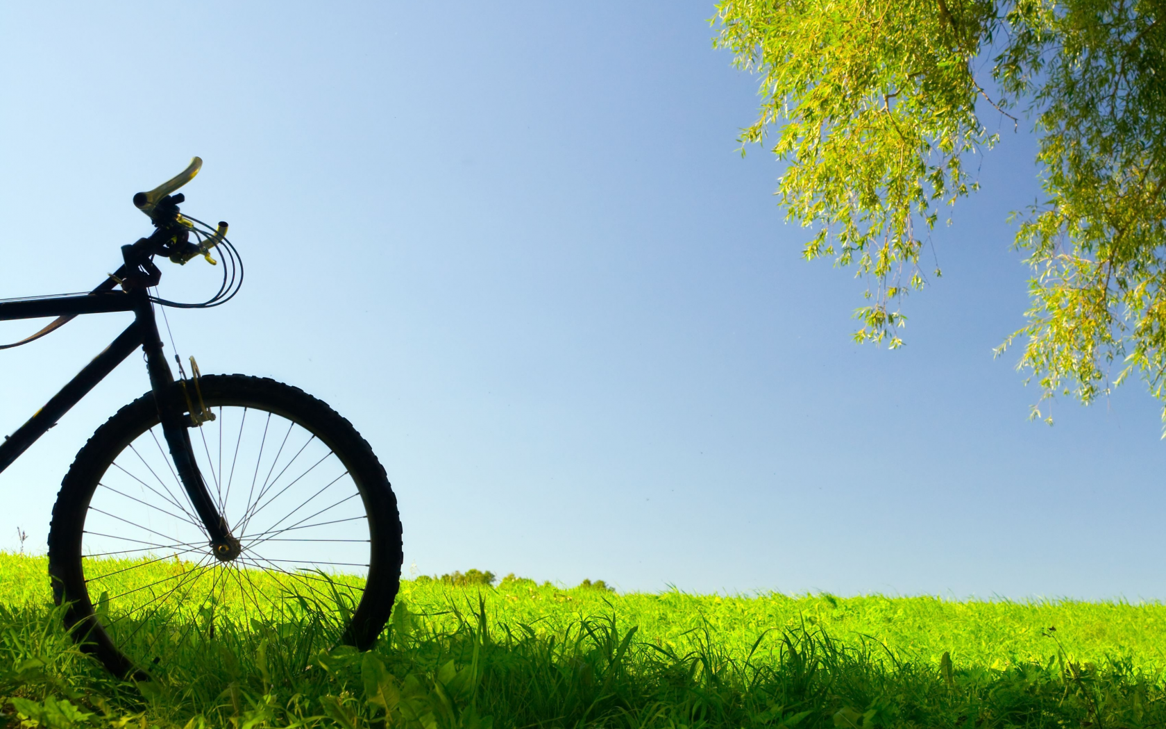 настроения, трава, луг, колесо, зелень, велосипед