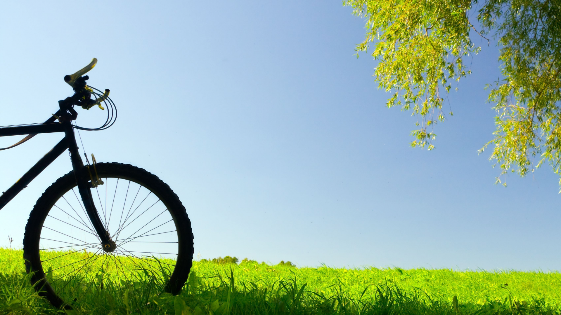 настроения, трава, луг, колесо, зелень, велосипед