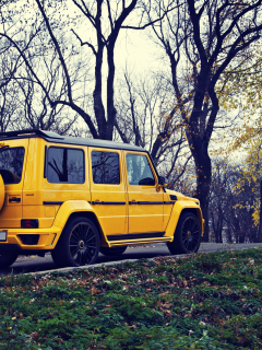 желтый, mansory gronos, g63, внедорожник, mercedes benz, осень